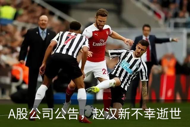 A股公司公告，赵汉新不幸逝世